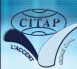 CITAP