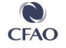 Groupe Compagnie Française de l'Afrique Occidentale de Côte d'Ivoire (CFAO-CI)