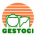 GESTOCI