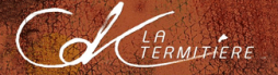 Ajouter un logo