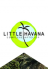 LITTLE HAVANA COMPLEXE HOTELIER