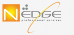 NEDGE PROFESSIONAL SERVICES